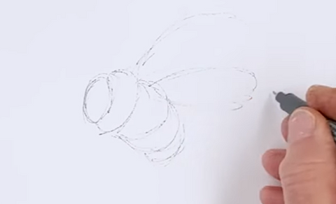 easy bee drawing