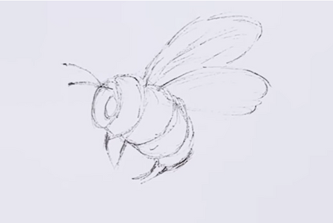 cute bee drawing