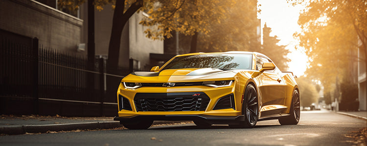 Yellow ZL1 Sitting Pretty