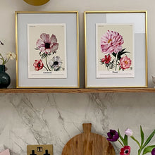 Load image into Gallery viewer, The Language of Flowers Peonies Giclée Print
