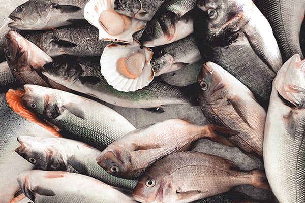 All types of seafood are freshly preserved as canned conserva from fish to shellfish, roe to caviar.