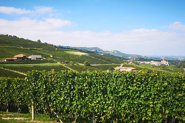 The green hills of Piedmont. 