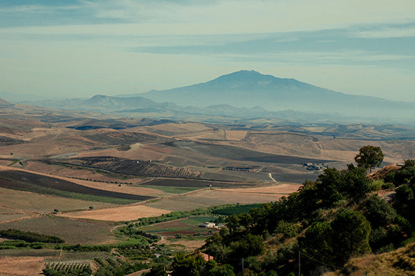 The still active Mt. Etna volcano contributes to the unique soil of Sicily.