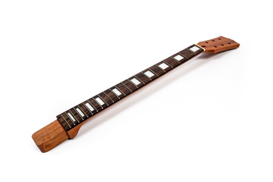 eden guitar necks