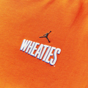 Air Jordan Orange Active Jerseys for Men