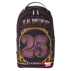 Sprayground NBA: Lebron James Money 