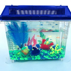 Aqua-Mals Aquarium Kit – BFF Here