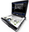 Logiq E portable ultrasound system