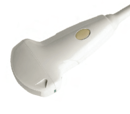 Siemens Acuson CA431 curved array ultrasound probe
