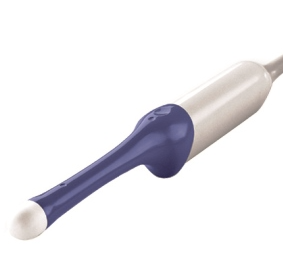 GE RIC5-9W-RS endocavitary ultrasound probe
