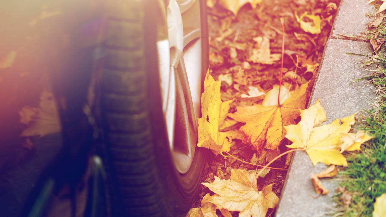 car-wheel-and-autumn-wheels