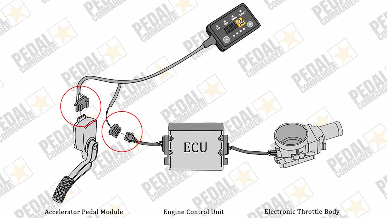 Pedal Commander sits between the pedal and the ECU to boost the signals, and acceleration!