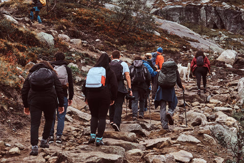 Group of people enjoying a hike on a mountain trail, embodying the physical health benefits of hiking and the beauty of nature.