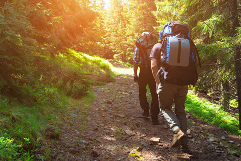 A Picture of someone hiking.