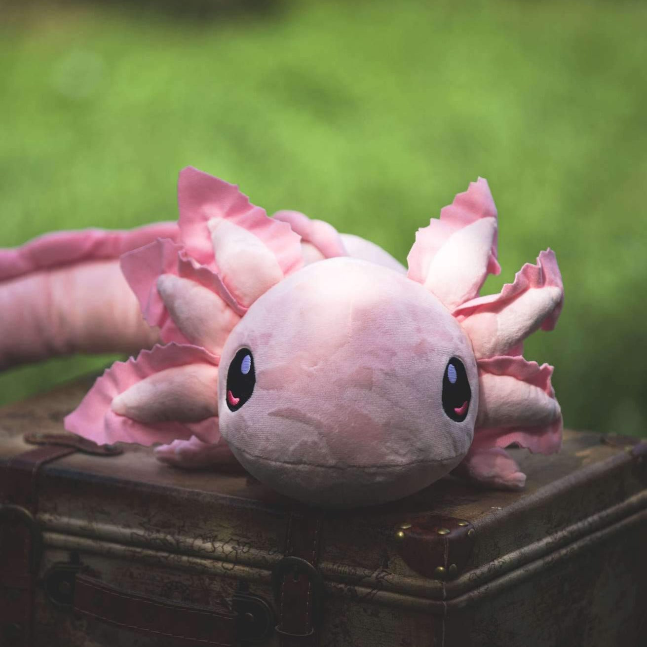 axolotl plush