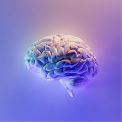 Purple and blue geometric brain illustration