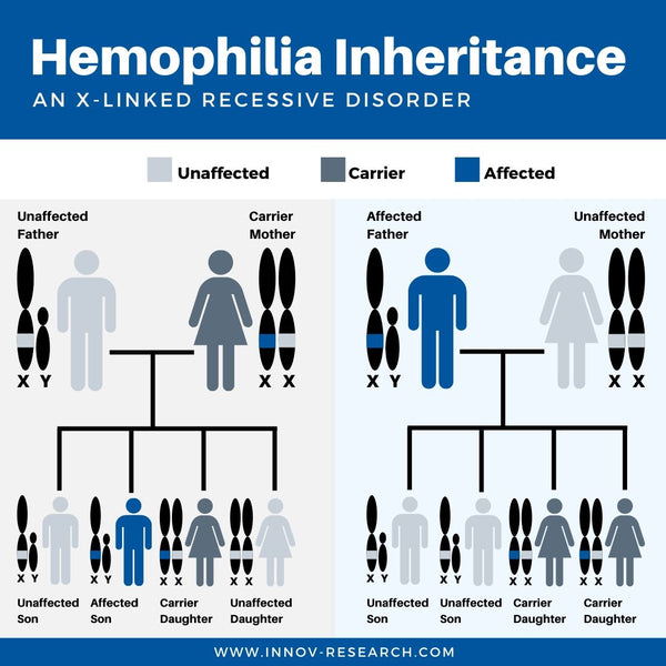 Pattern of Hemophilia Inheritance