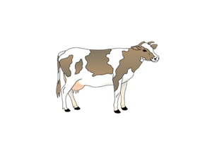 shorthorn clipart