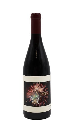 2019 | Chanin Los Alamos Vineyard | Pinot Noir