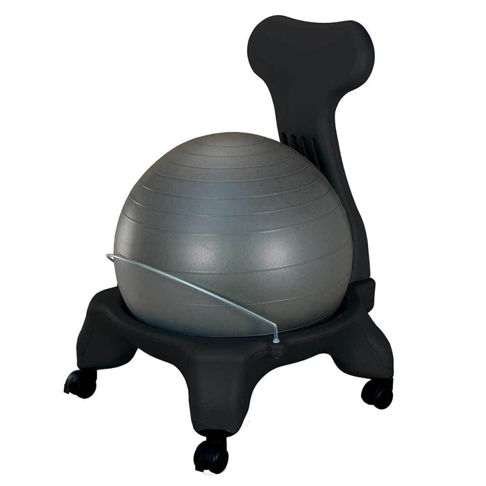 ball chair with back