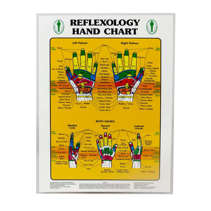 Reflexology Charts For Sale