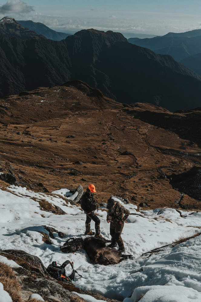 chamois-hunting