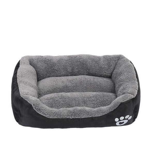 comfy couch pet bed