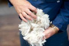 merino wool