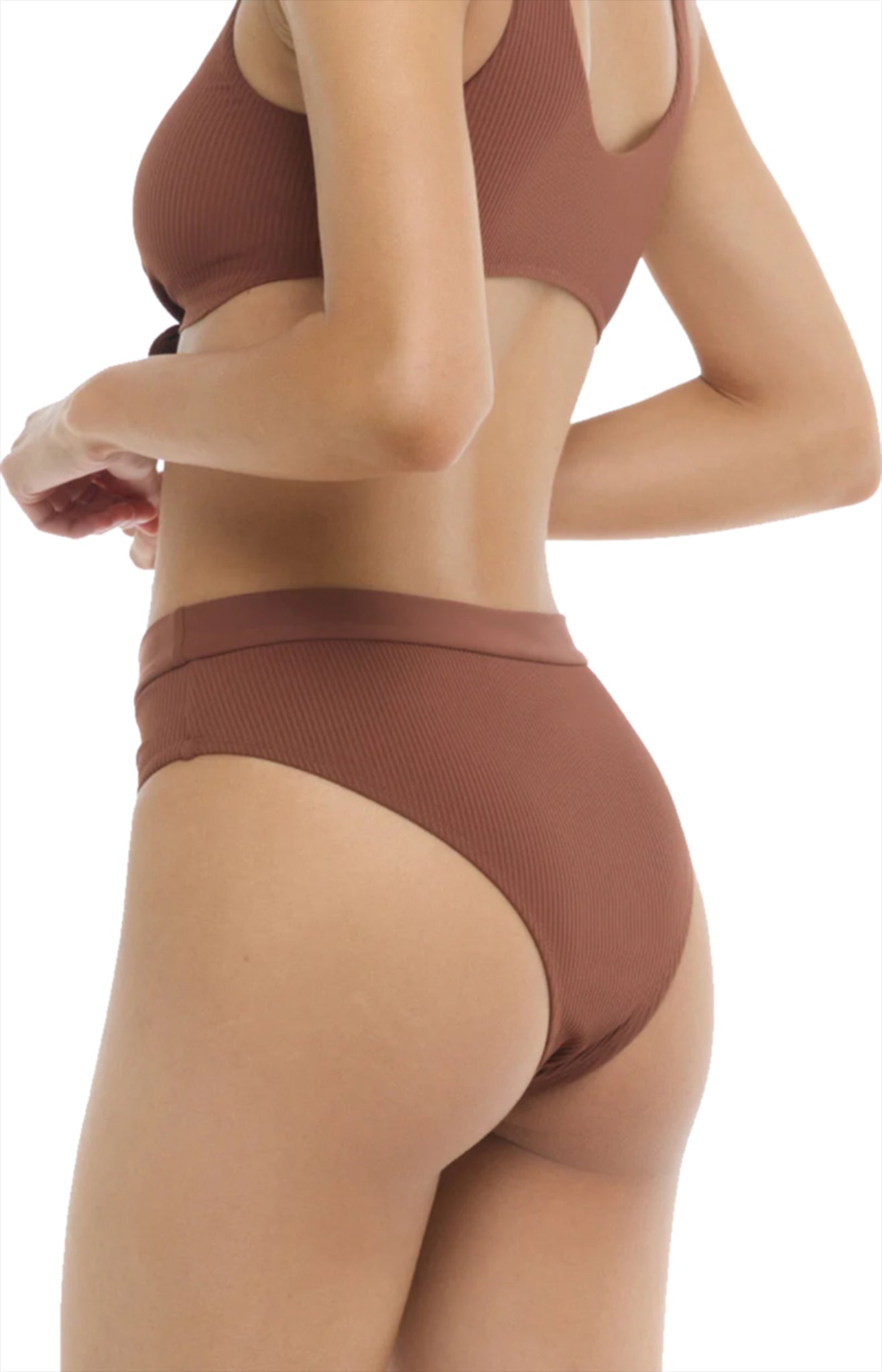 Ibiza Coco Plus Size Bikini Bottom - Brown - Body Glove