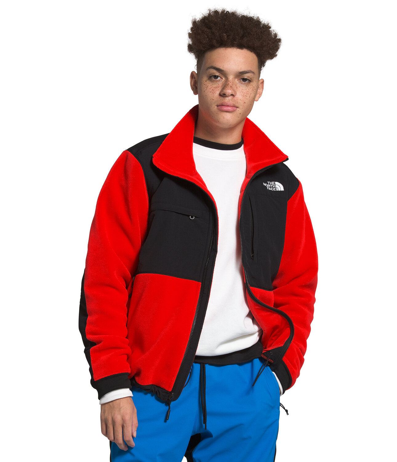 the north face sherpa denali jacket