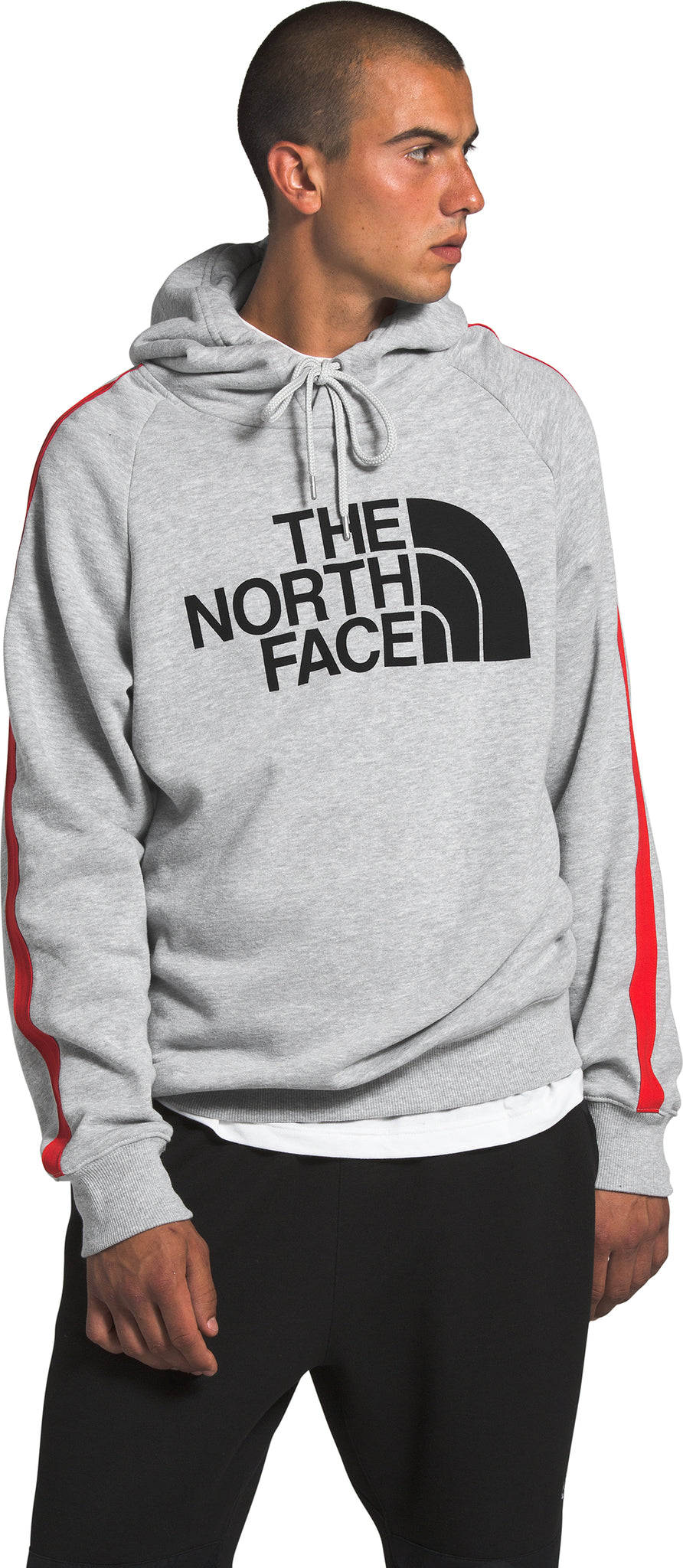 the north face men's aop hoodie