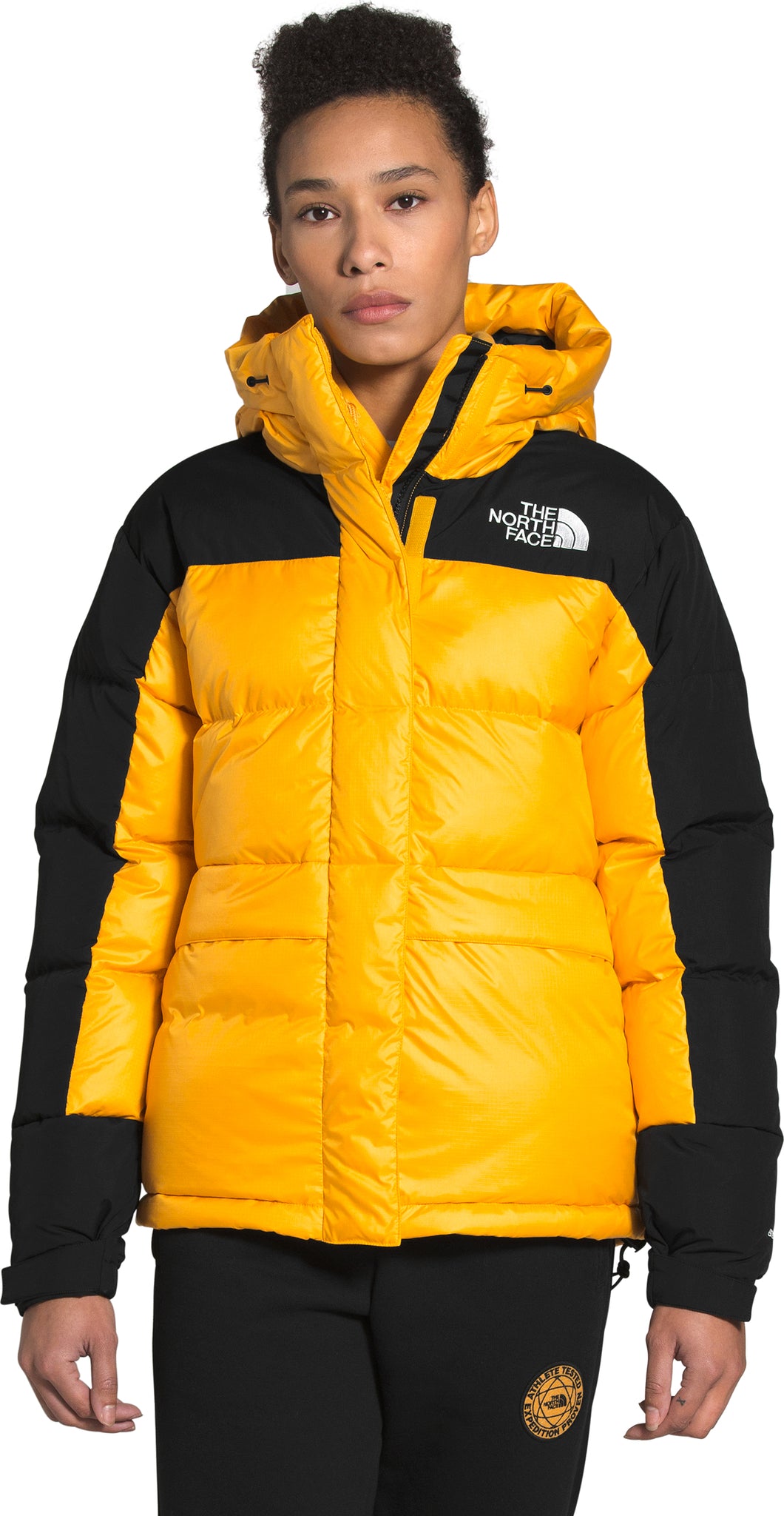 the north face down jacket