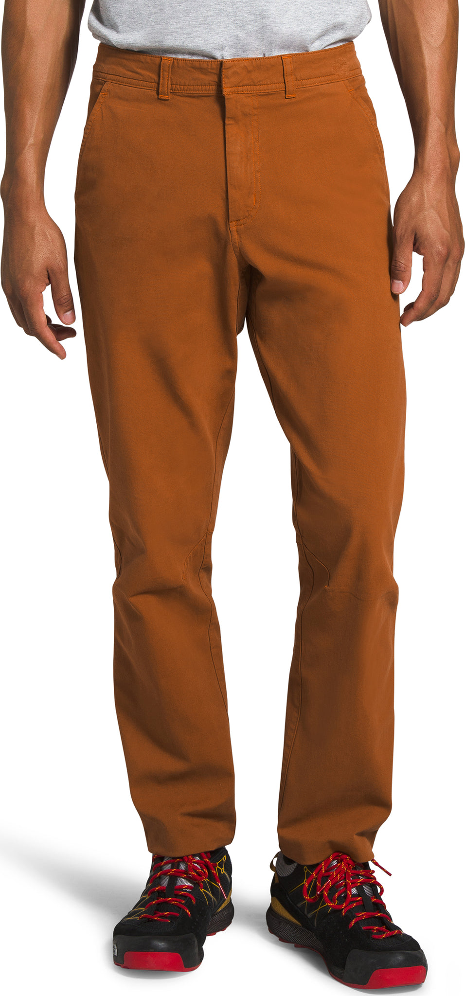 north face north dome pants