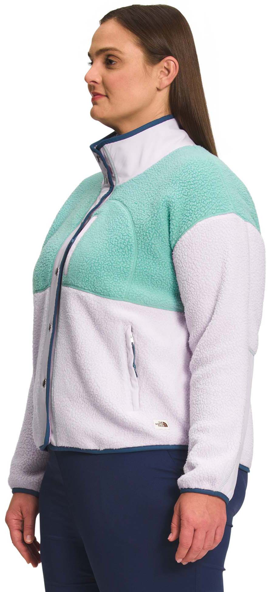 The North Face Cragmont Plus Size Fleece Jacket - Women's