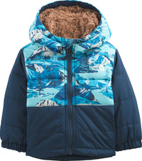 The North Face Alpine Polartec 200 Full Zip Hooded Jacket - Women's
