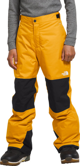 The North Face Boys' Freedom Insulated Pant –