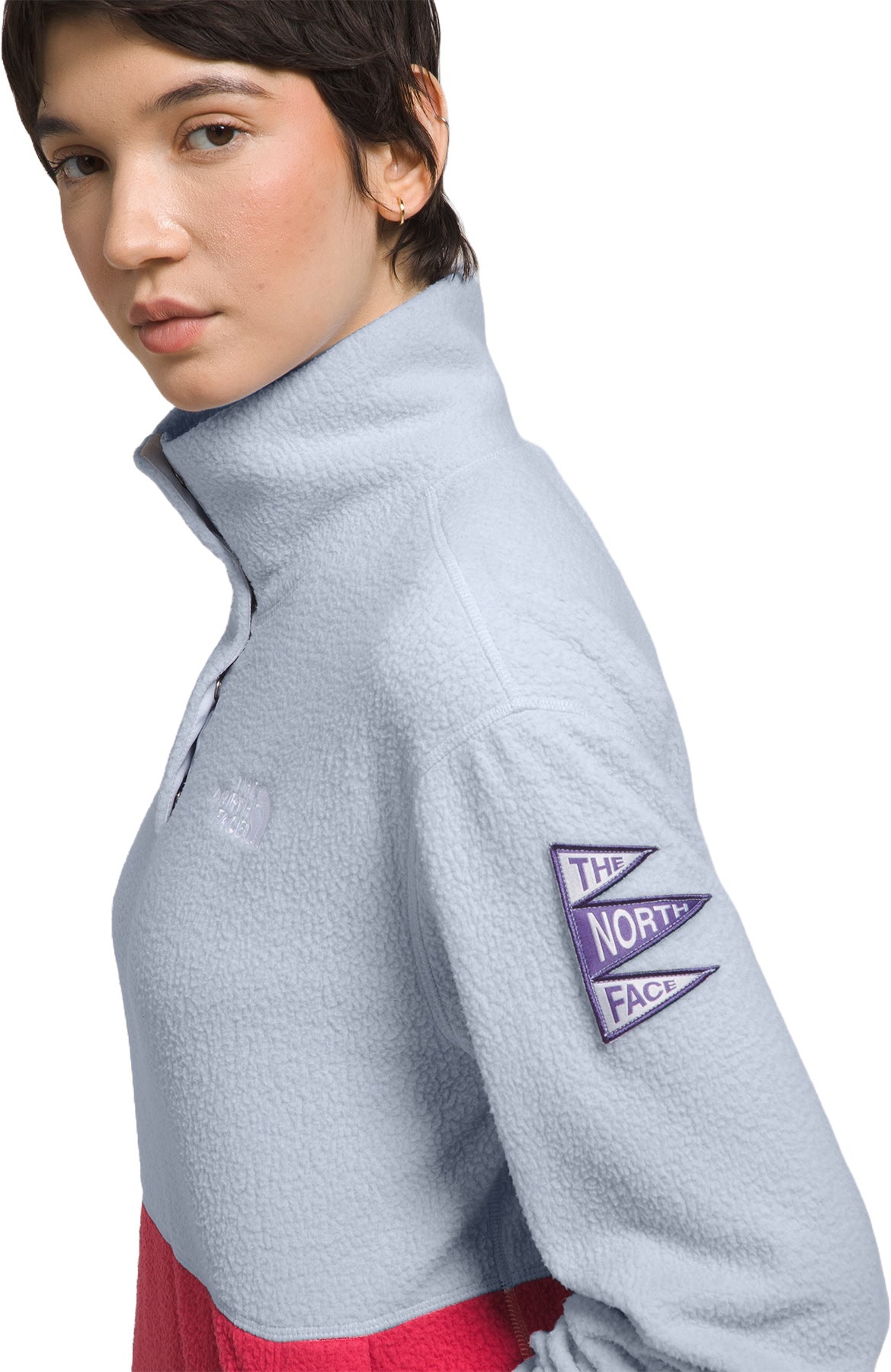 The North Face Alpine Polartec 200 ¼ Zip Sweater - Women's
