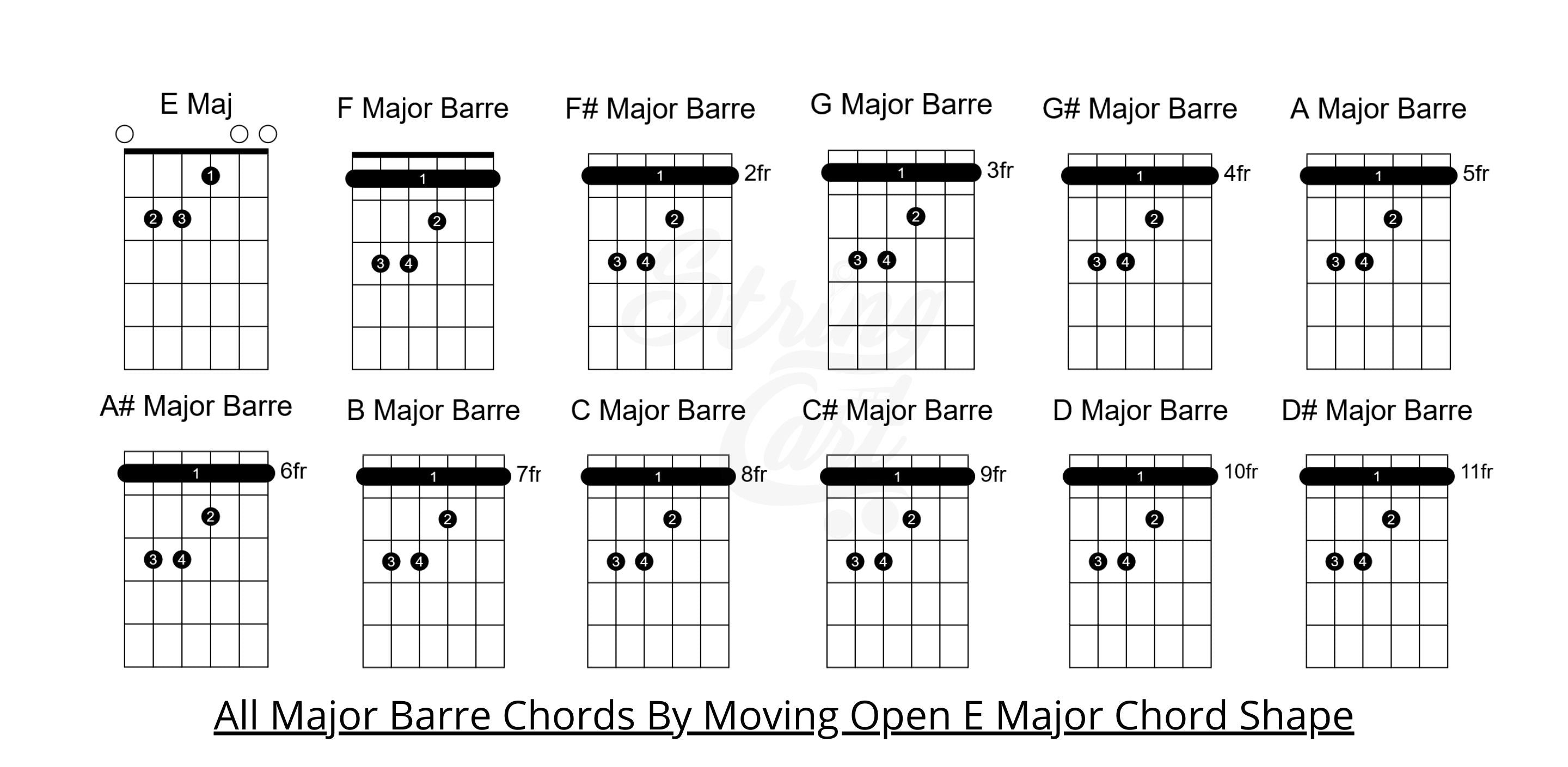 Barre Guitar Chords For Beginners - All Major Chords