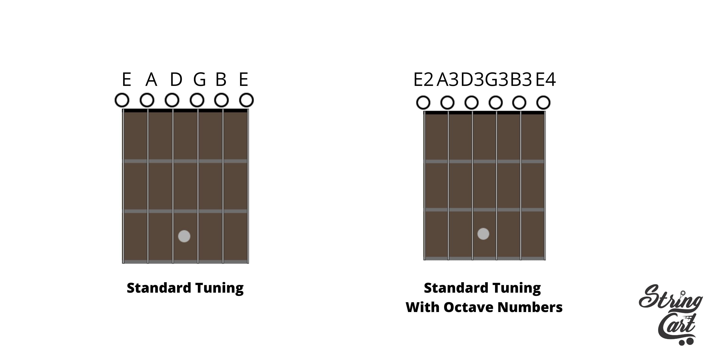 Guitar Standard tuning Notes With Octave Numbers Image