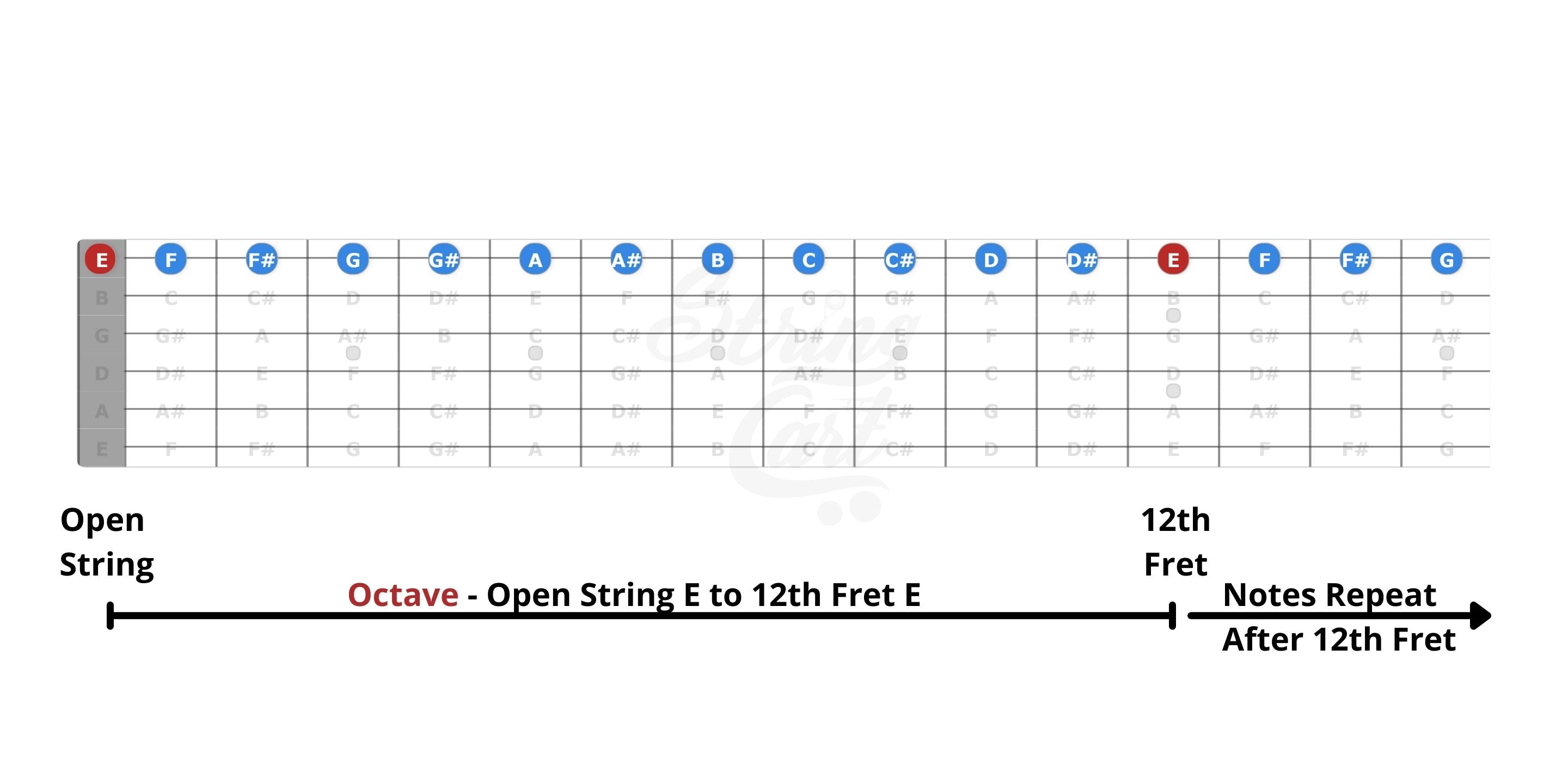 notes on 1st string of guitar fretboard image