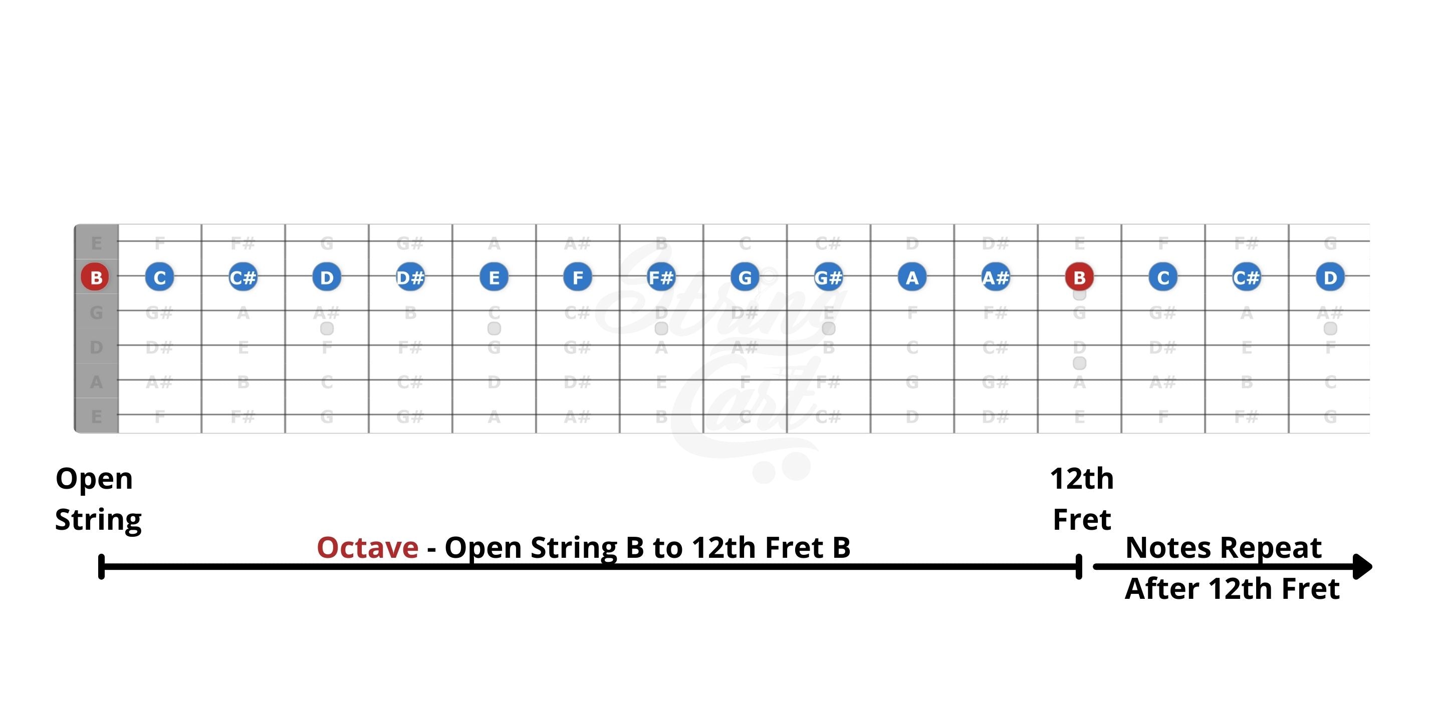 Notes on 2nd string guitar neck fretboard image