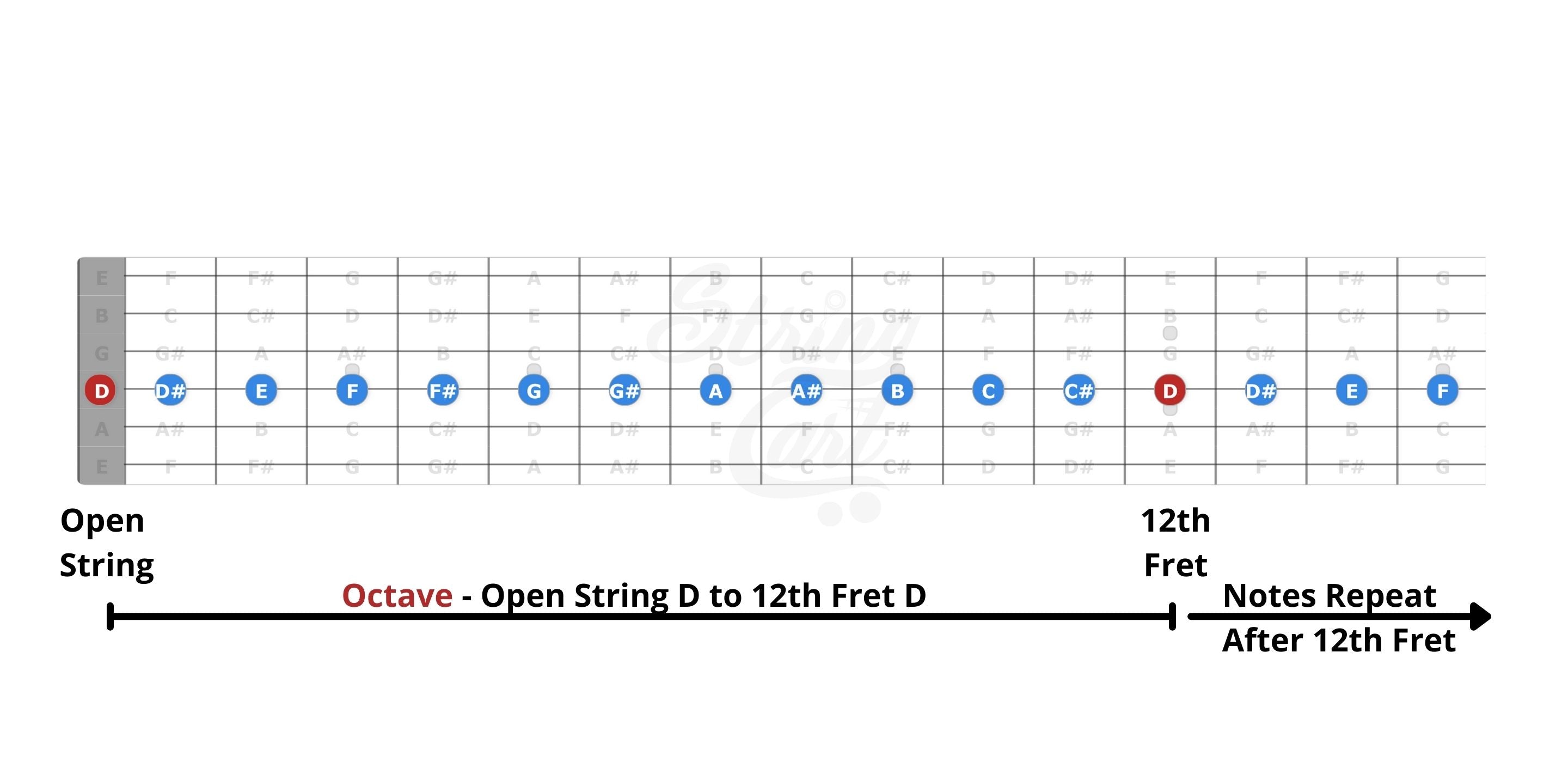 notes on 4th string guitar neck
