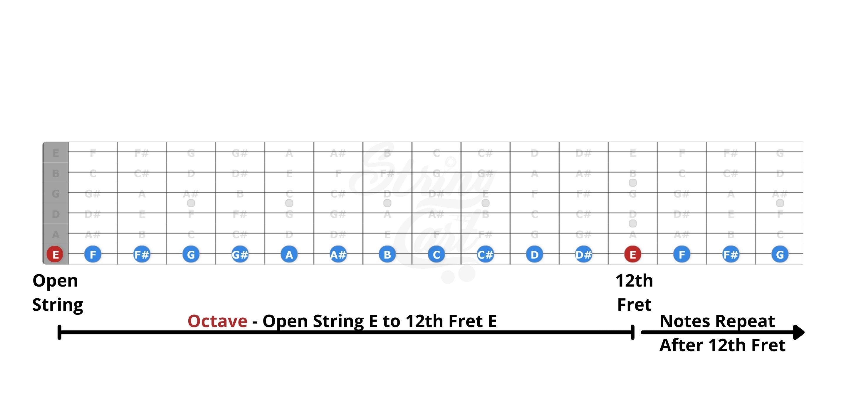 notes on 6th string of guitar - fretboard image