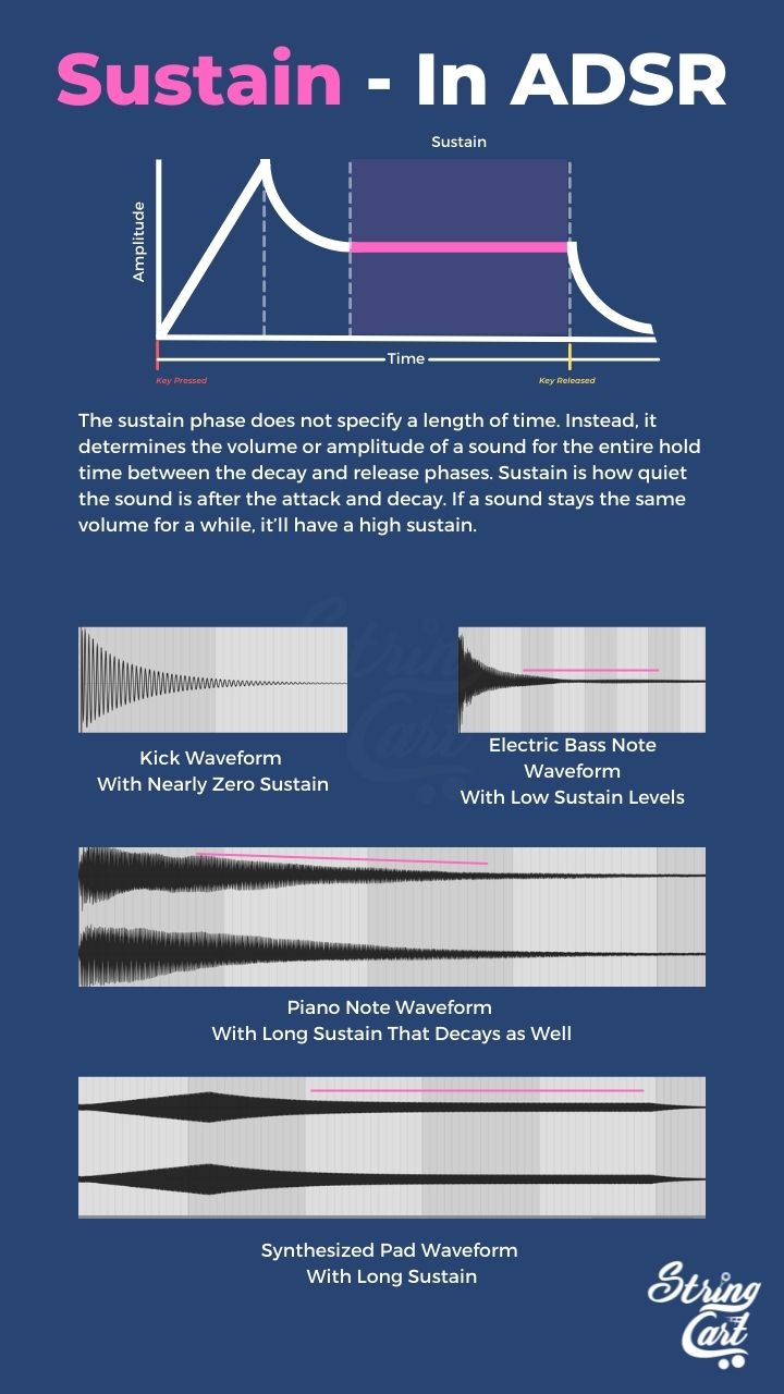 Sustain In ADSR - Infographic