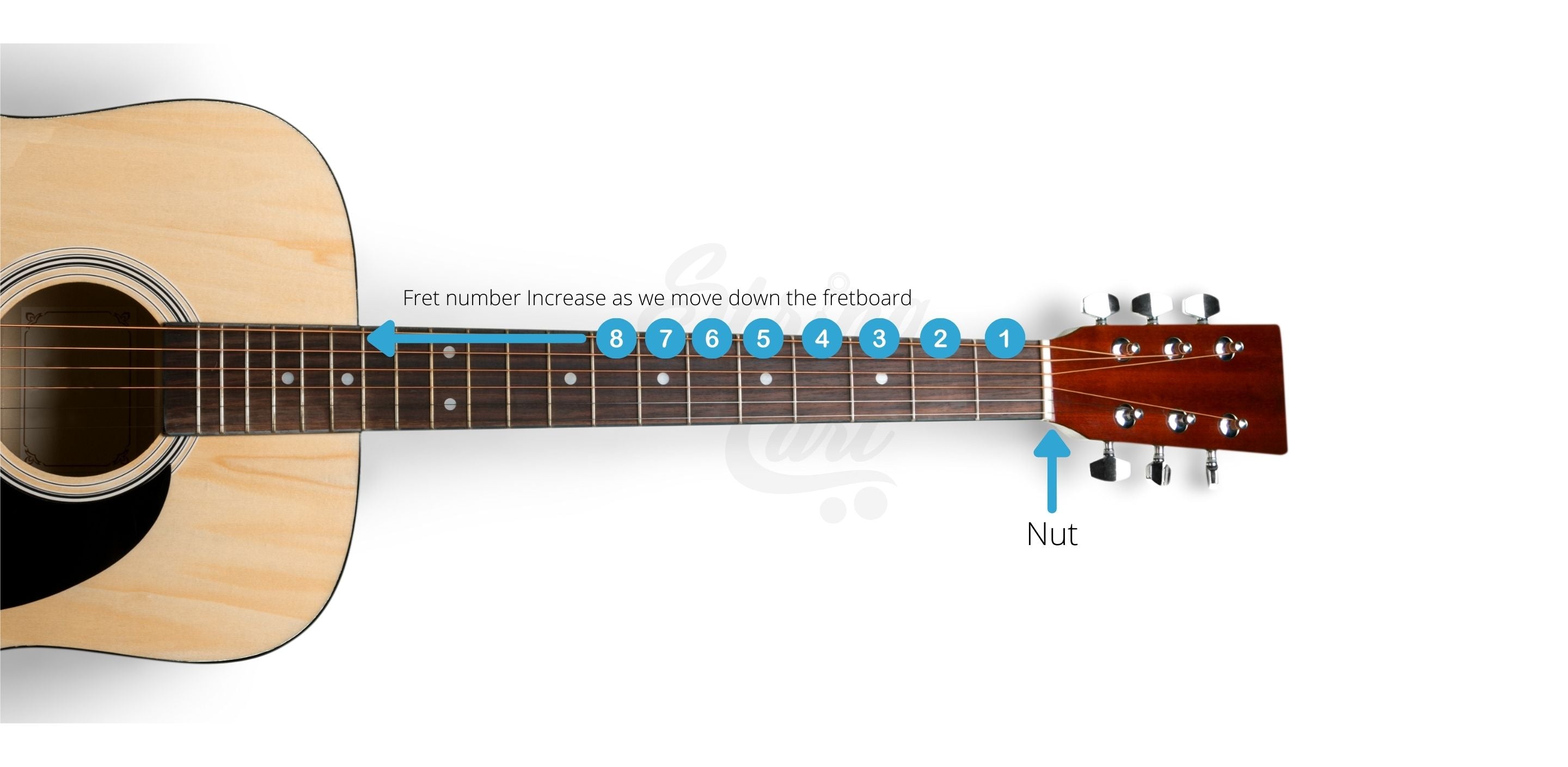 How Frets Are Numbered On A Guitar Neck