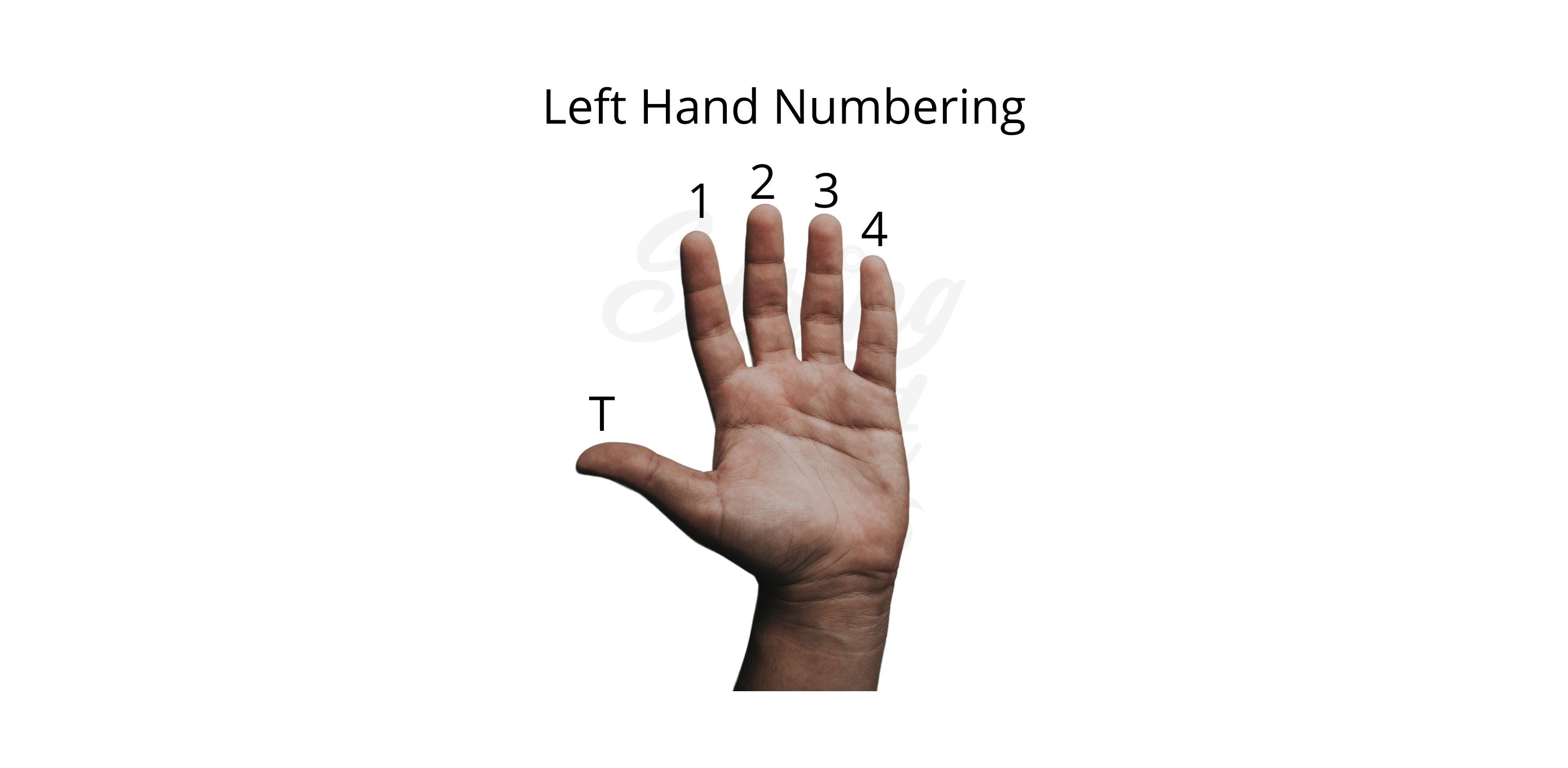 Left Hang Finger Numbering For Guitar
