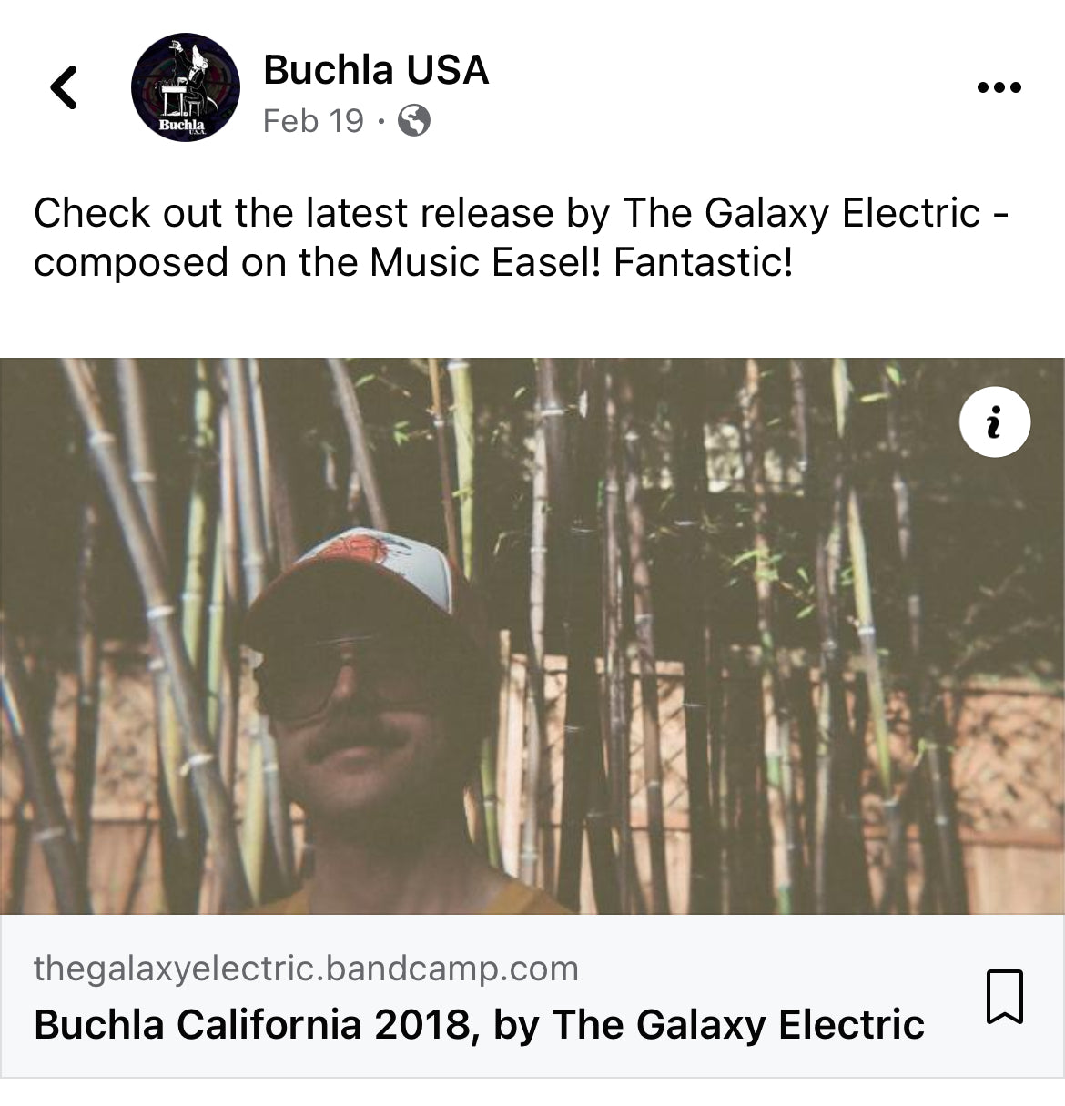 The Galaxy Electric Buchla USA