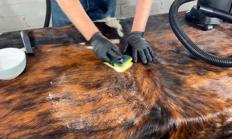 Cowhide Rug Brushing