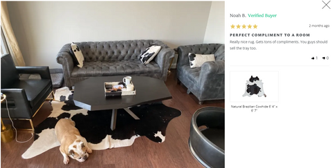 Pet with Cowhide Rug