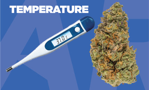 What temperature is best for cannabis